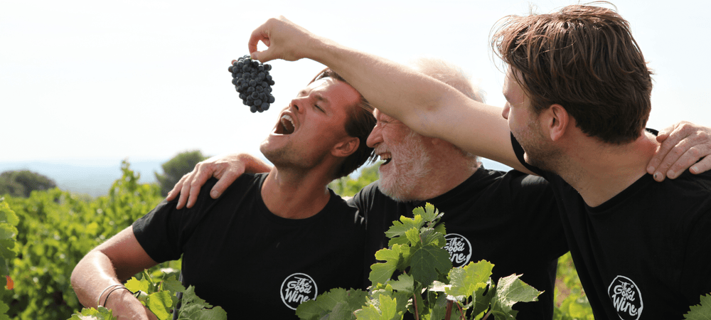 The Good Wine BV